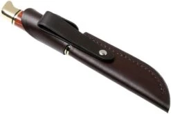 Buck 118 Personal Hunting Knife -Victorinox || Böker || DMT Sales BUCK118BRS 08 buck