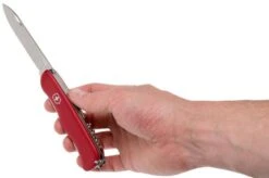 Victorinox Cheese Knife 0.8303.W Swiss Pocket Knife -Victorinox || Böker || DMT Sales VT0 8303 W 05 victorinox